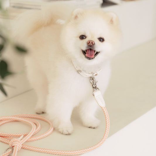 【一部即納】Rope collar（コーラル）