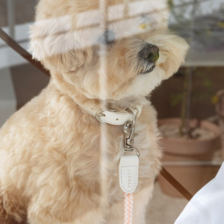 【予約】Rope leash classic - 1.8m（コーラル）