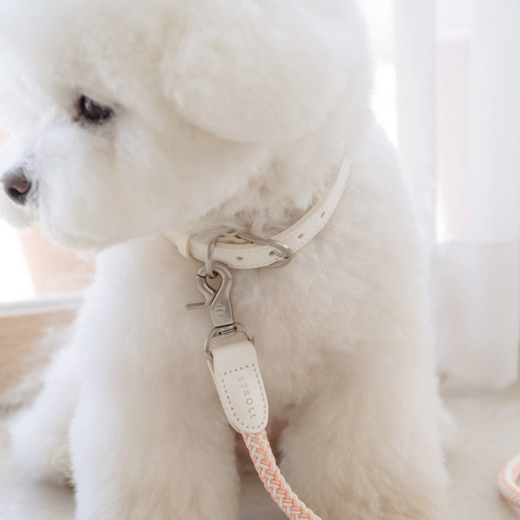 【予約】Rope leash classic - 1.8m（コーラル）