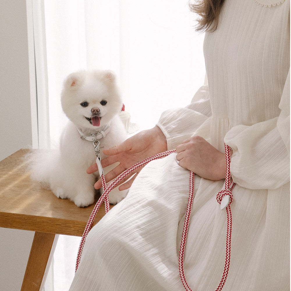 【予約】Rope collar（レッドベルベット）