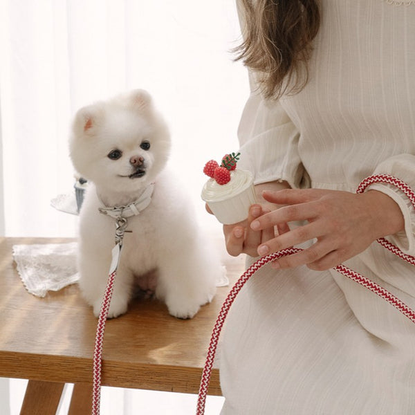 【予約】Rope collar（レッドベルベット）