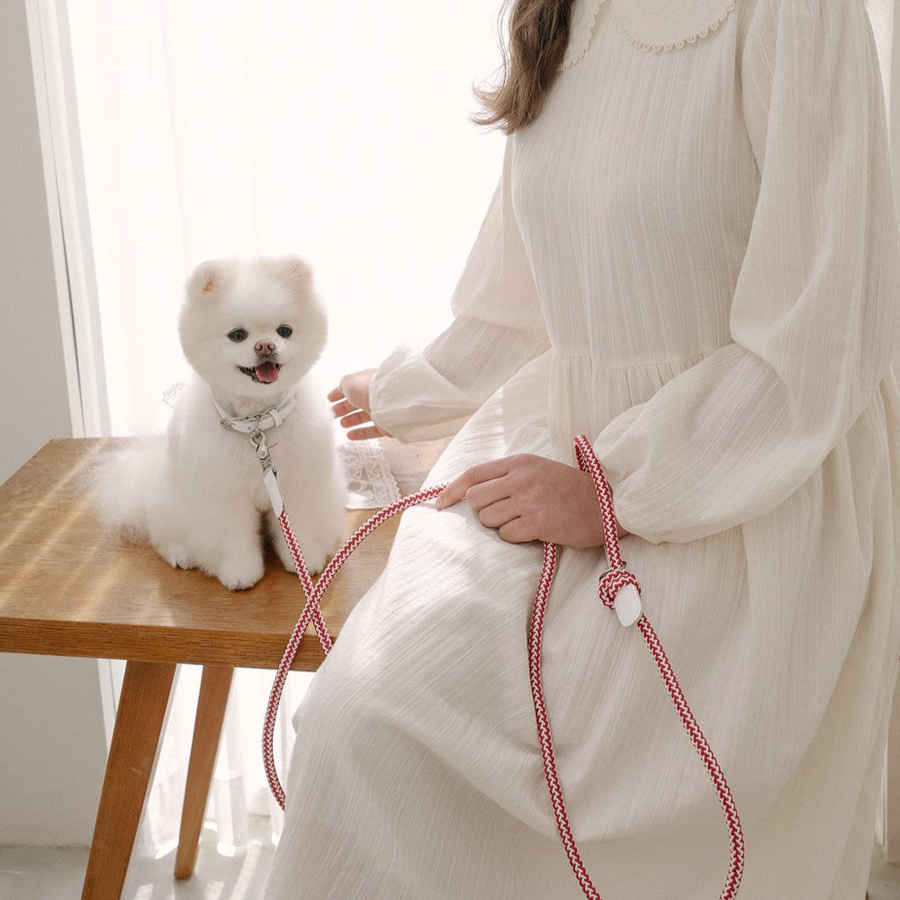 【予約】Rope collar（レッドベルベット）