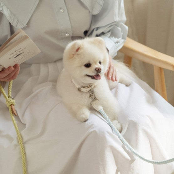 【即納】Rope leash classic - 1.8m（ソーダ）