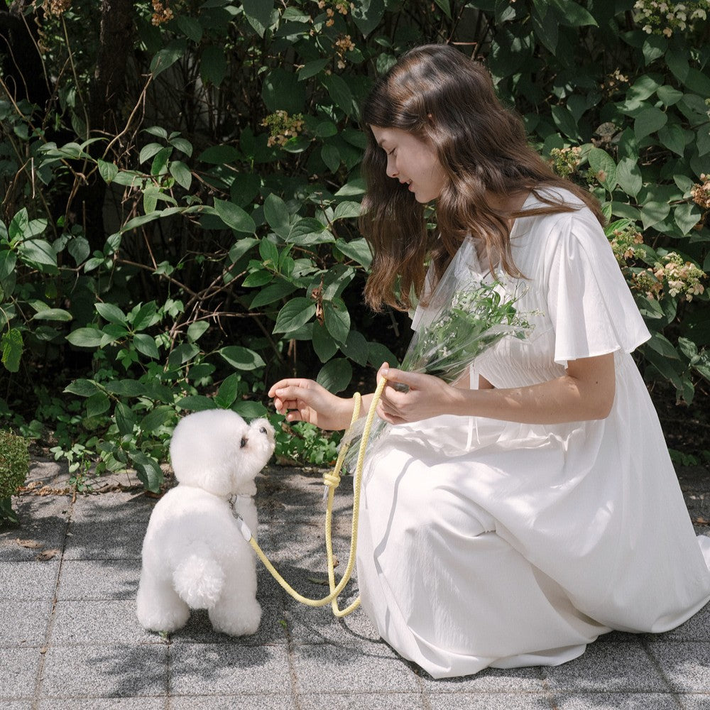 【予約】Rope collar（レモン）