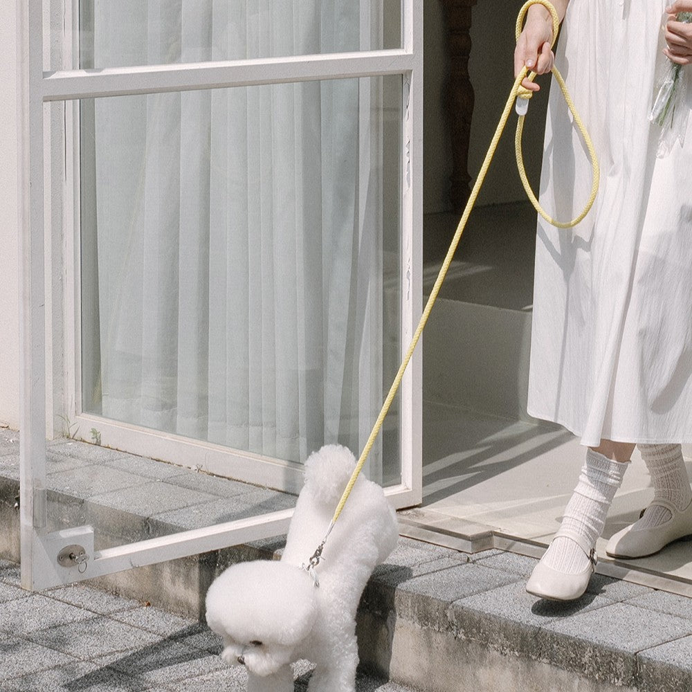 【予約】Rope collar（レモン）