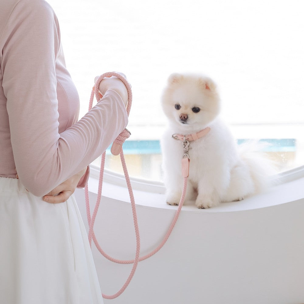 【予約】Slim leash（ピンク） - 1.8m