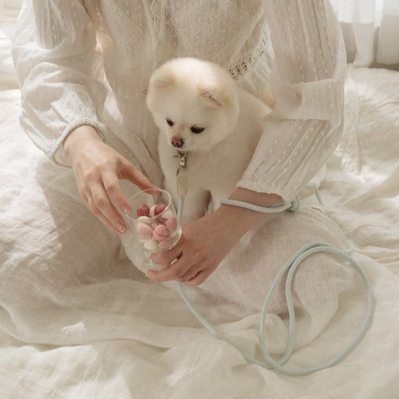 【予約】Slim leash（ソーダ） - 1.8m