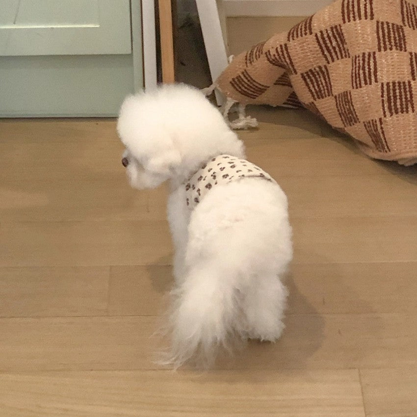 【予約】フローラルクロップノースリーブ