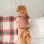 【予約】Check Frill Padding