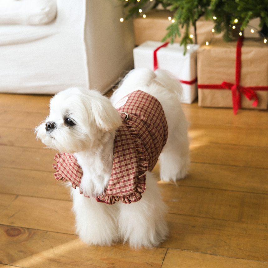 【予約】Check Frill Padding