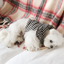 【予約】Check Frill Padding