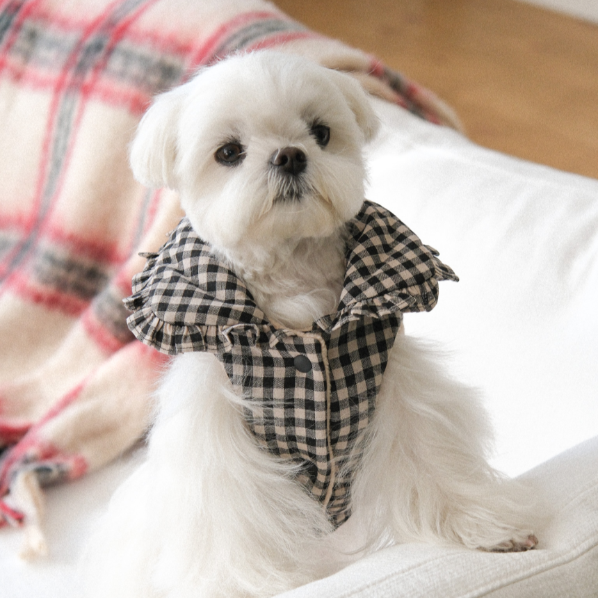 【予約】Check Frill Padding
