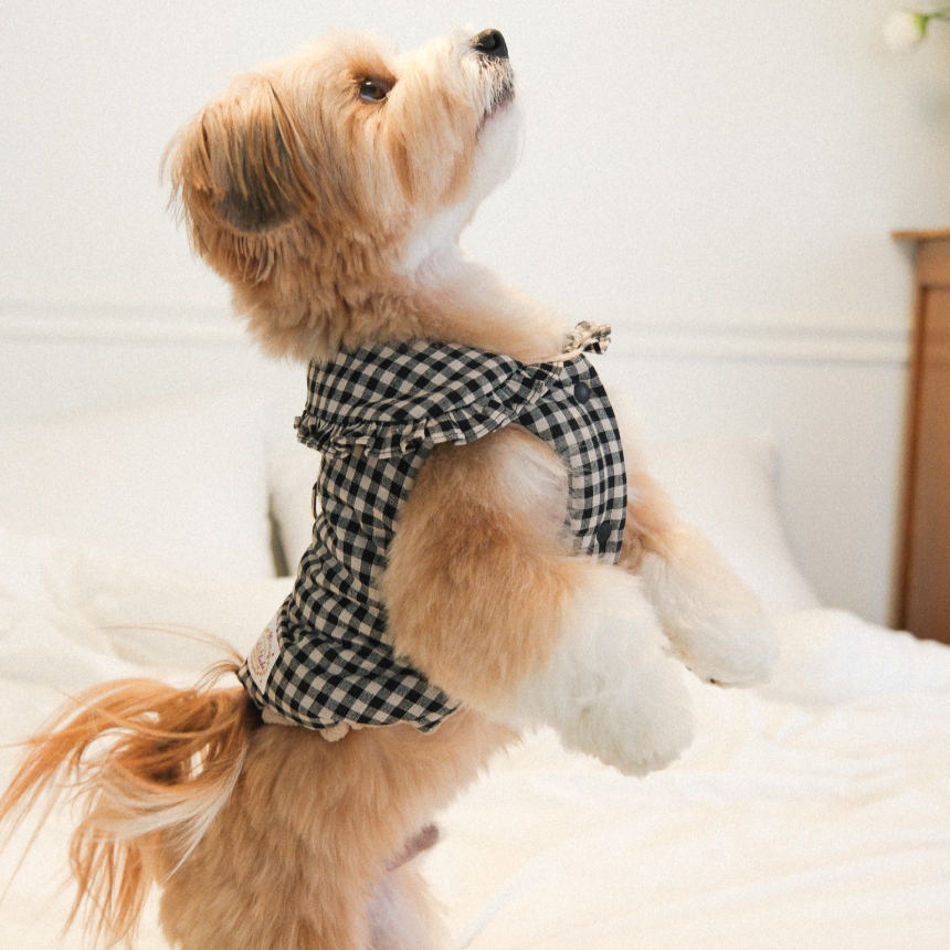 【予約】Check Frill Padding