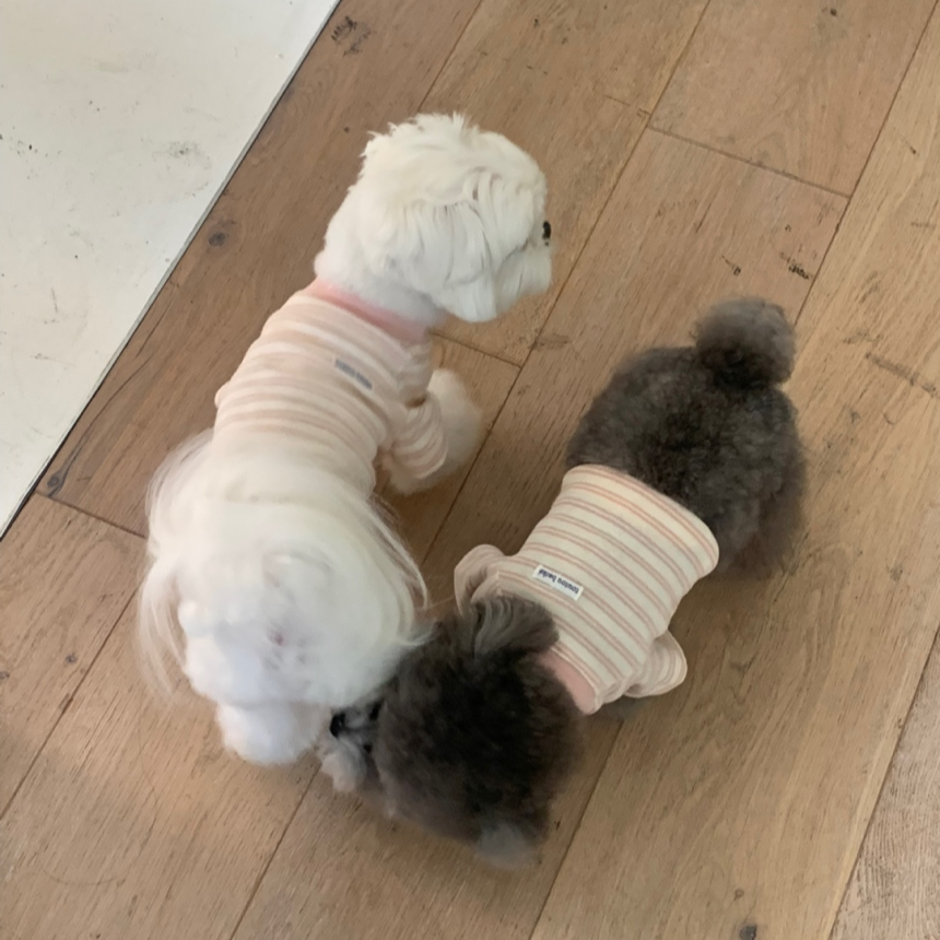 【一部即納】ノートストライプTシャツ