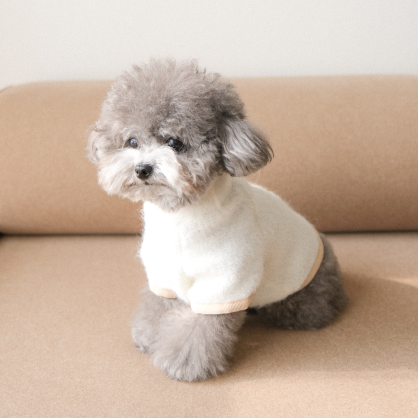 【予約】Snow Fleece Pullover