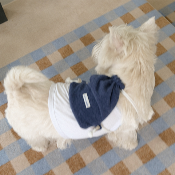 【予約】Terry String Bag (For Pets)