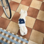 【予約】Terry String Bag (For Pets)