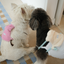 【予約】Terry String Bag (For Pets)