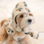 【予約】Snuggle Bonnet