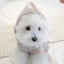 【予約】Snuggle Bonnet