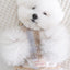 【予約】Snuggle Toggle Jacket