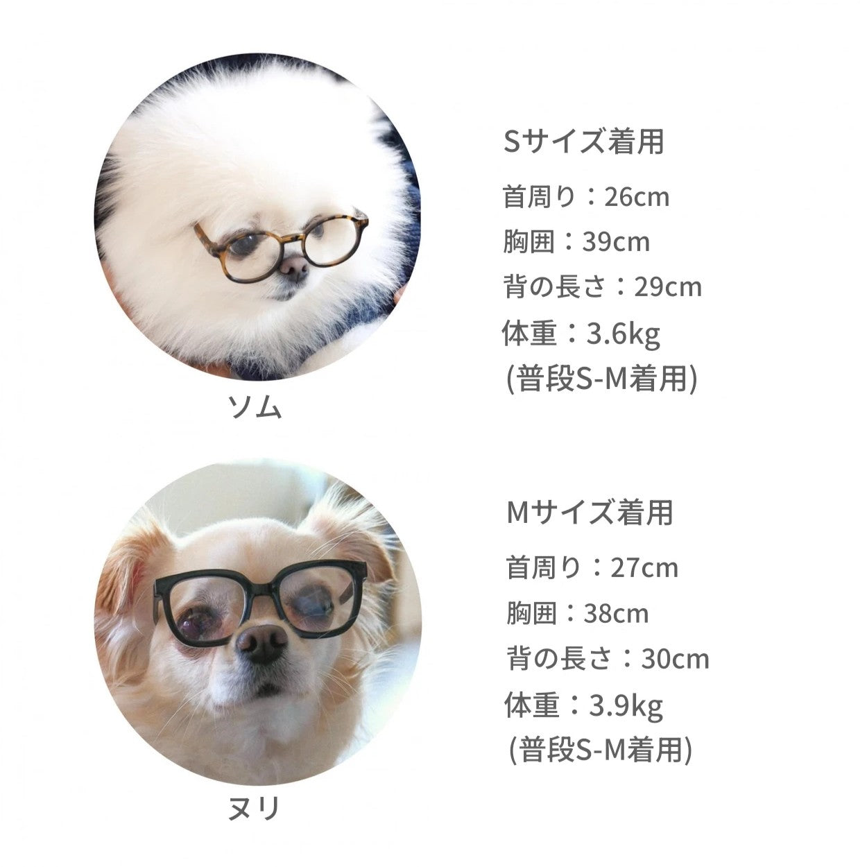 【予約】ワッフルヘンリーネック