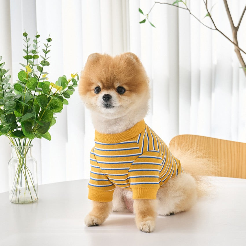 【予約】マルチストライプTシャツ
